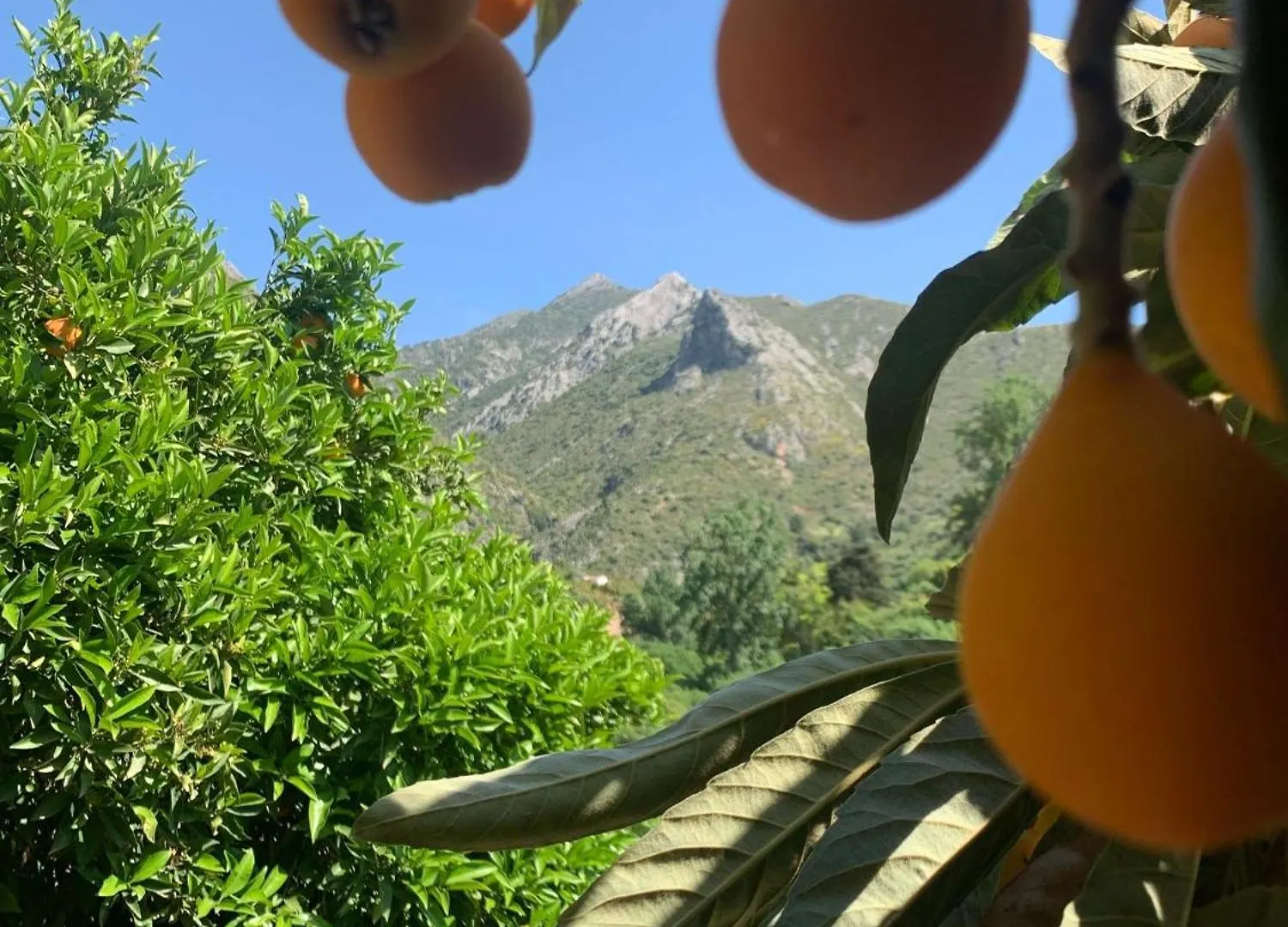 Holiday home Casa Del Leon Villa Istan